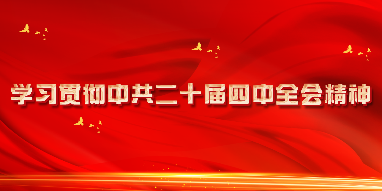 学习贯彻中共二十届四中全会精神